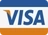 Visa card Logo